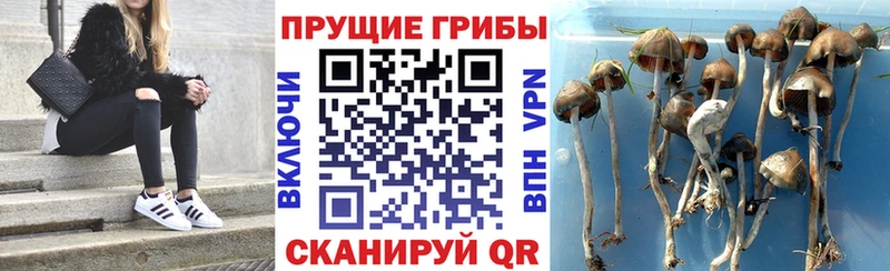 OMG ССЫЛКА купить наркотик Мирный Галлюциногенные грибы ЛСД