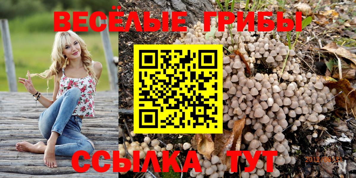 Мирный  Псилоцибиновые грибы Cubensis  Вход с VPN 