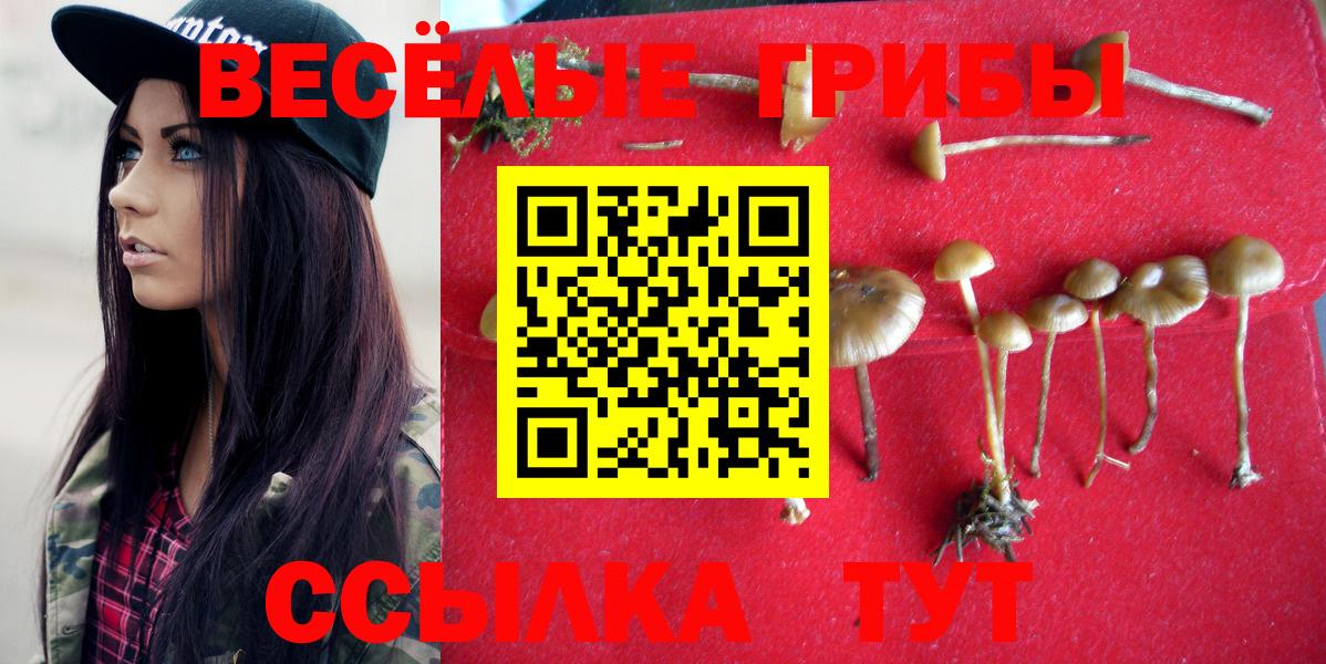 Галлюциногенные грибы мухоморы Мирный